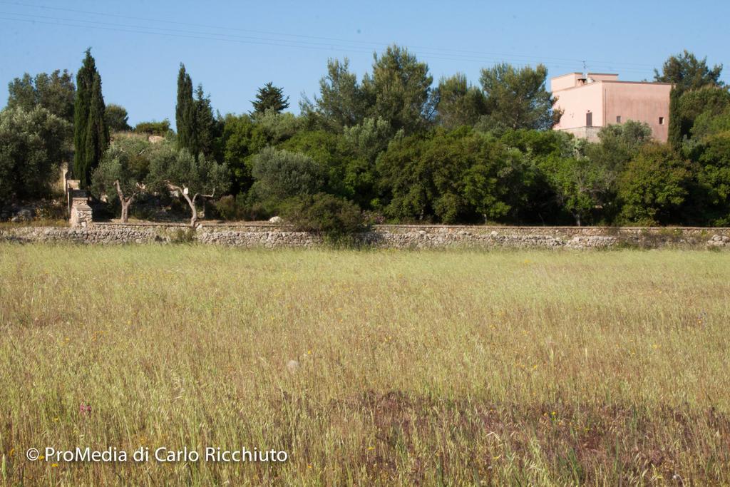 Bed and Breakfast Masseria Moresano Ugento Zimmer foto