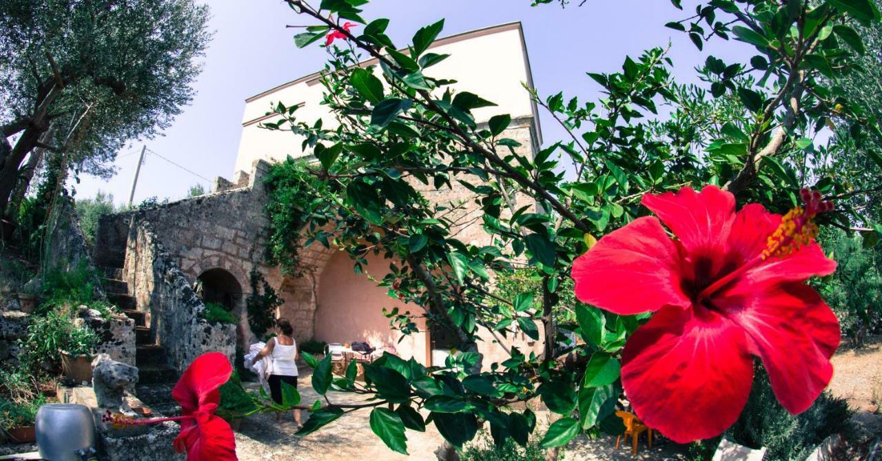 Bed and Breakfast Masseria Moresano Ugento Zimmer foto